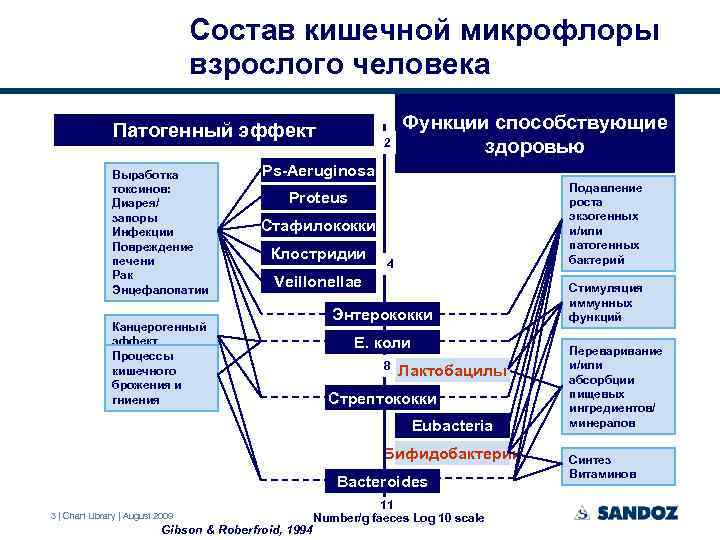 Состав кишечной микрофлоры взрослого человека Патогенный эффект Выработка токсинов: Диарея/ запоры Инфекции Повреждение печени