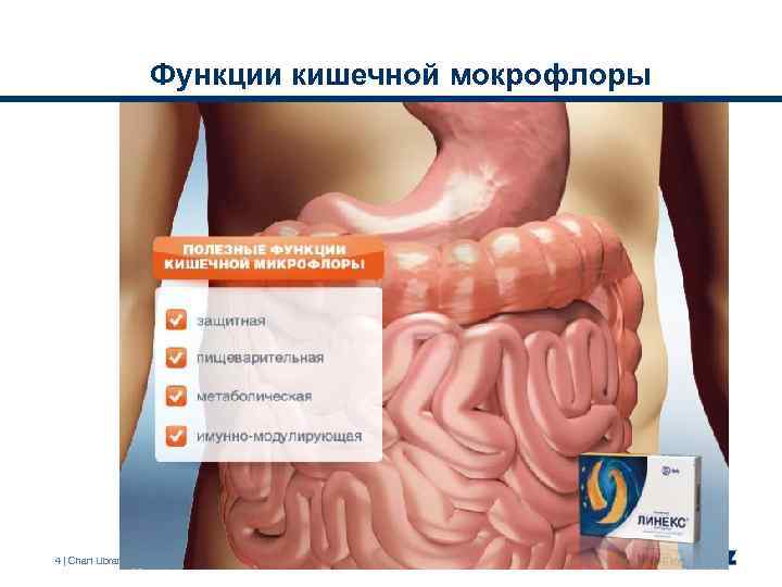 Функции кишечной мокрофлоры 4 | Chart Library | August 2009 