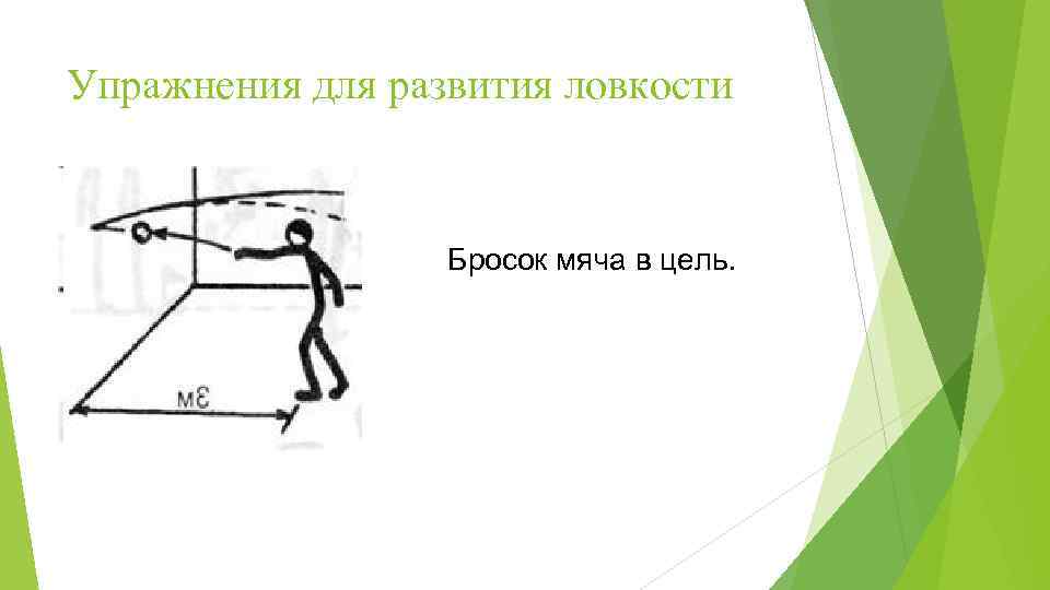 Упражнения для развития ловкости Бросок мяча в цель. 