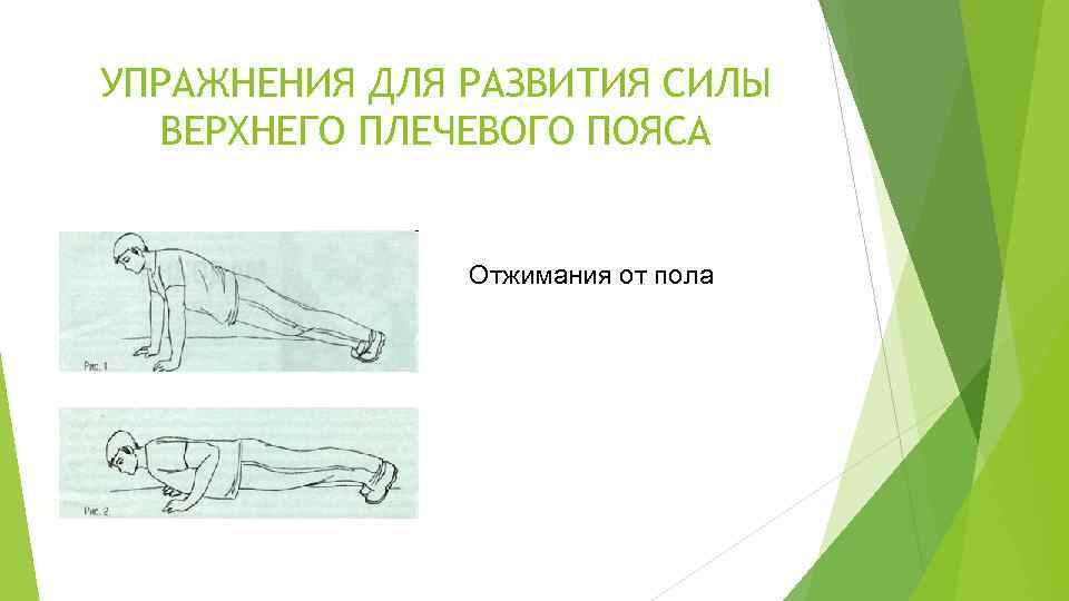 УПРАЖНЕНИЯ ДЛЯ РАЗВИТИЯ СИЛЫ ВЕРХНЕГО ПЛЕЧЕВОГО ПОЯСА Отжимания от пола 