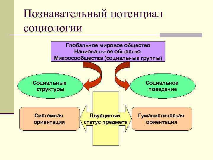 Познавательный потенциал социологии Глобальное мировое общество Национальное общество Микросообщества (социальные группы) Социальные структуры Системная