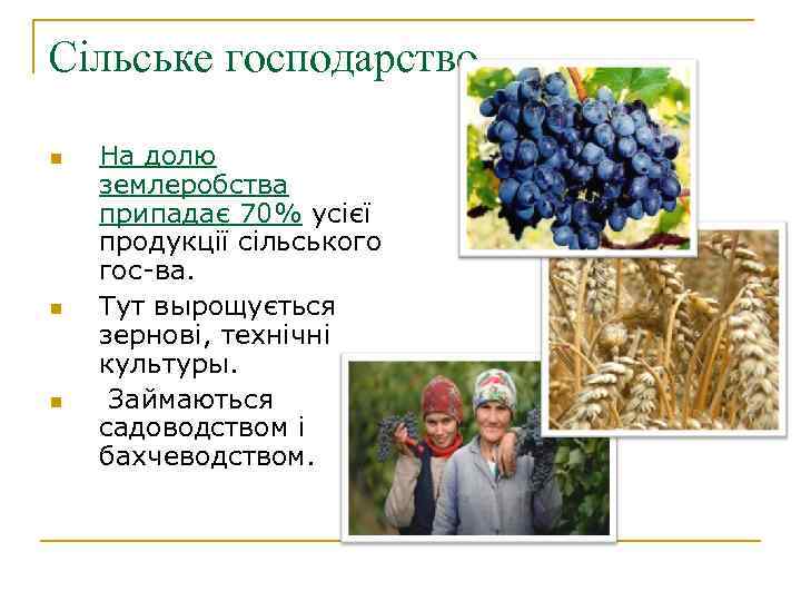 Сільське господарство n n n На долю землеробства припадає 70% усієї продукції сільського гос-ва.