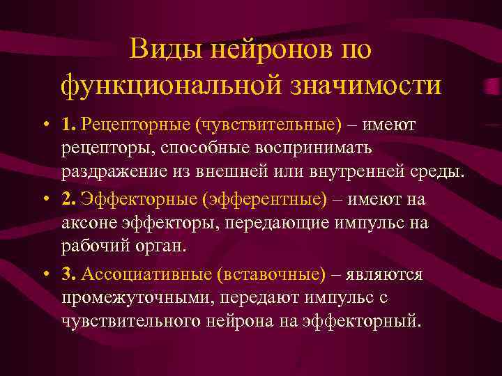 Виды нейронов по функциональной значимости • 1. Рецепторные (чувствительные) – имеют рецепторы, способные воспринимать
