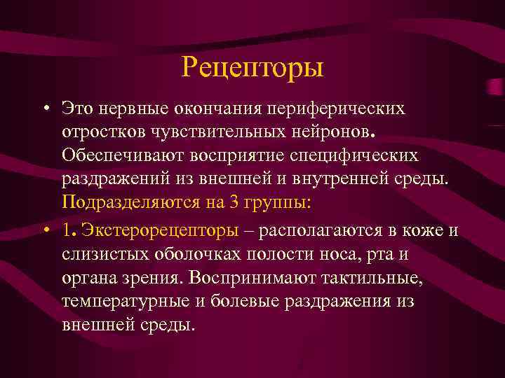 Рецепторы • Это нервные окончания периферических отростков чувствительных нейронов. Обеспечивают восприятие специфических раздражений из