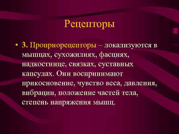Рецепторы • 3. Проприорецепторы – локализуются в мышцах, сухожилиях, фасциях, надкостнице, связках, суставных капсулах.
