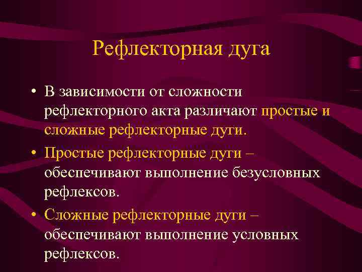 Рефлекторная дуга • В зависимости от сложности рефлекторного акта различают простые и сложные рефлекторные