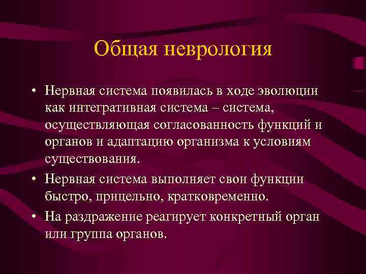Общая неврология • Нервная система появилась в ходе эволюции как интегративная система – система,