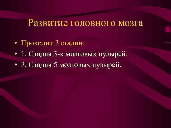 Развитие головного мозга • Проходит 2 стадии: • 1. Стадия 3 -х мозговых пузырей.