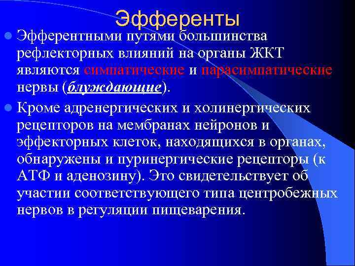 Эфференты l Эфферентными путями большинства рефлекторных влияний на органы ЖКТ являются симпатические и парасимпатические