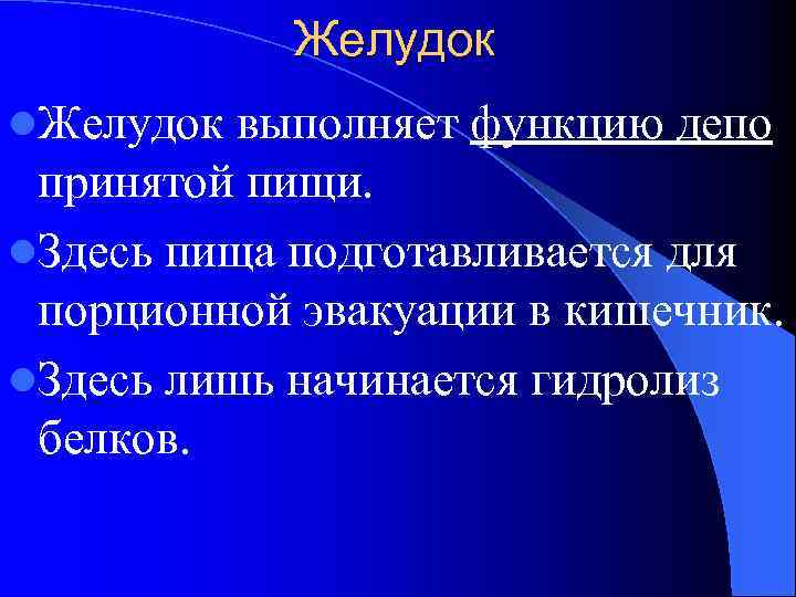 Желудок l. Желудок выполняет функцию депо принятой пищи. l. Здесь пища подготавливается для порционной