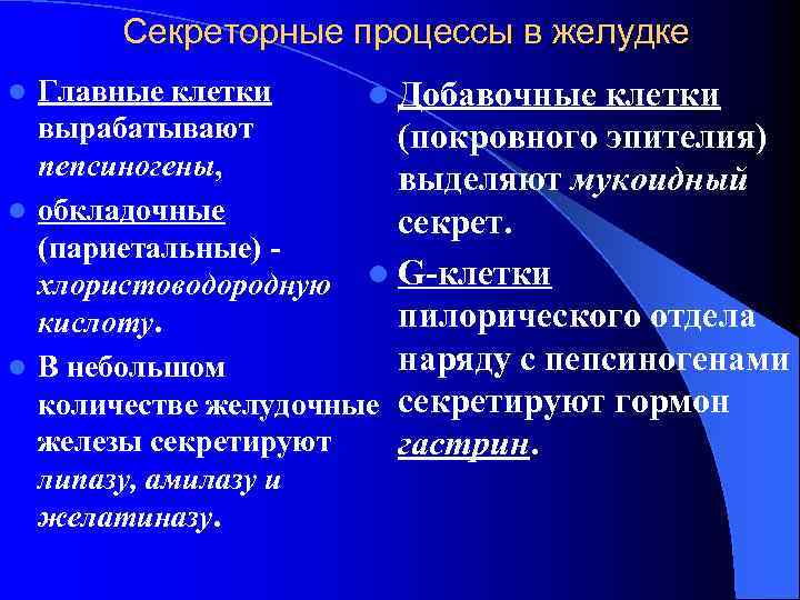 Секреторные процессы в желудке Главные клетки l Добавочные клетки вырабатывают (покровного эпителия) пепсиногены, выделяют