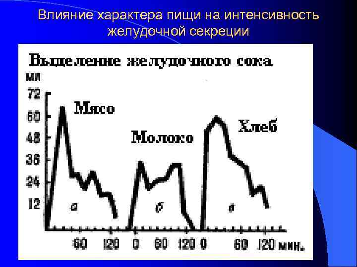 Влияние характера пищи на интенсивность желудочной секреции 
