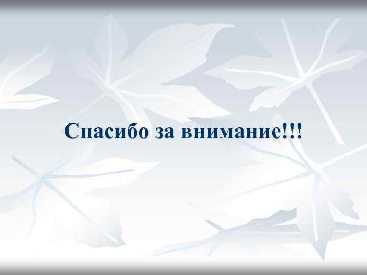 Спасибо за внимание!!! 