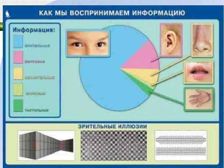 Хранение информации 