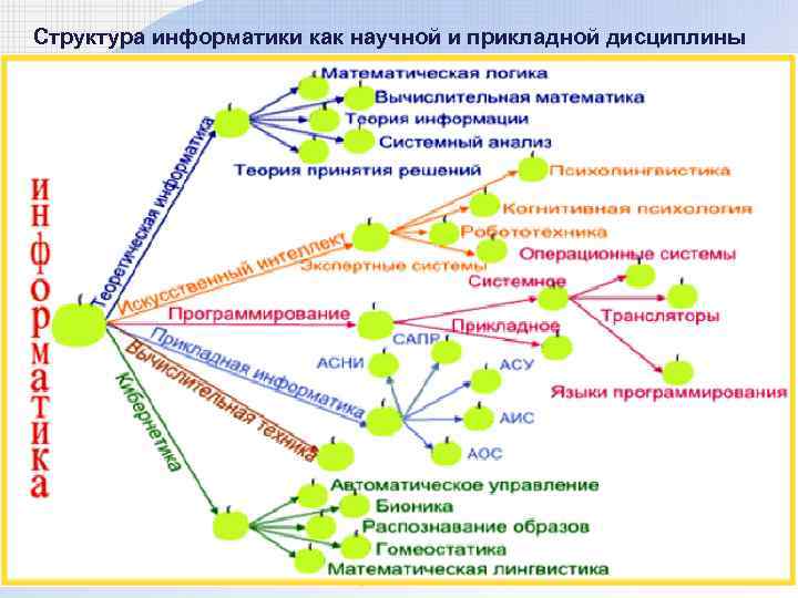 Структура информатики как научной и прикладной дисциплины 