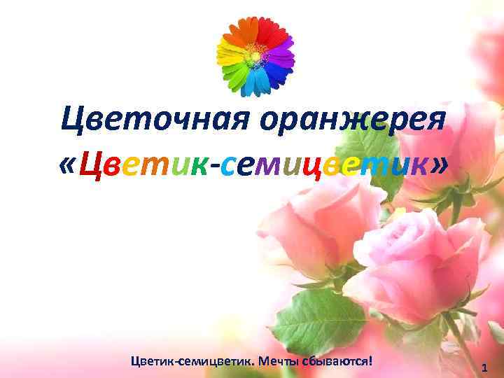 Цветочная оранжерея «Цветик-семицветик» Цветик-семицветик. Мечты сбываются! 1 