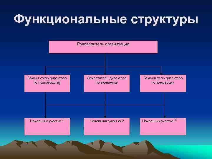 Функциональные структуры Руководитель организации Заместитель директора по производству Заместитель директора по экономике Начальник участка