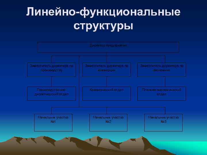 Линейно-функциональные структуры Директор предприятия Заместитель директора по производству Заместитель директора по коммерции Заместитель директора