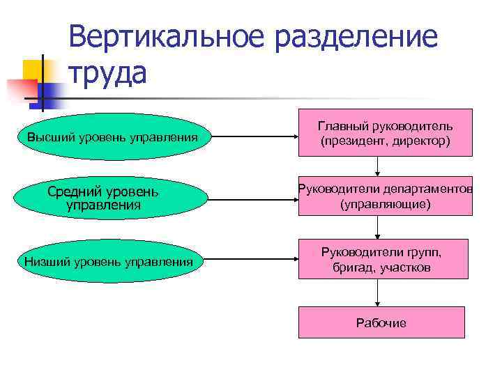 Вертикальное разделение труда Высший уровень управления Средний уровень управления Низший уровень управления Главный руководитель