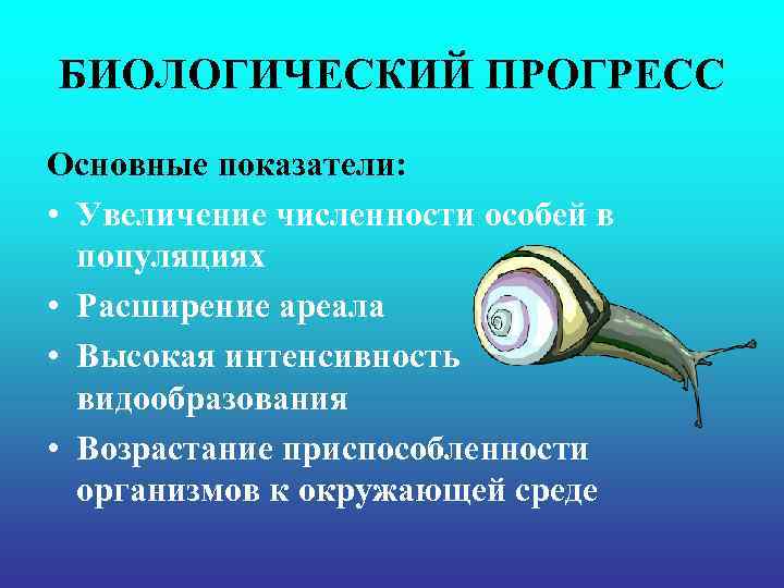 БИОЛОГИЧЕСКИЙ ПРОГРЕСС Основные показатели: • Увеличение численности особей в популяциях • Расширение ареала •