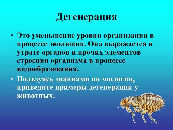 Дегенерация • Это уменьшение уровня организации в процессе эволюции. Она выражается в утрате органов