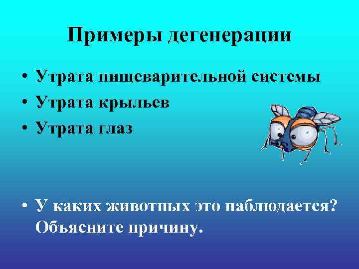 Примеры дегенерации • Утрата пищеварительной системы • Утрата крыльев • Утрата глаз • У