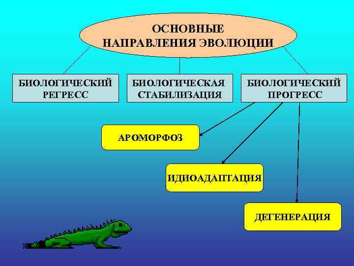 ОСНОВНЫЕ НАПРАВЛЕНИЯ ЭВОЛЮЦИИ БИОЛОГИЧЕСКИЙ РЕГРЕСС БИОЛОГИЧЕСКАЯ СТАБИЛИЗАЦИЯ БИОЛОГИЧЕСКИЙ ПРОГРЕСС АРОМОРФОЗ ИДИОАДАПТАЦИЯ ДЕГЕНЕРАЦИЯ 