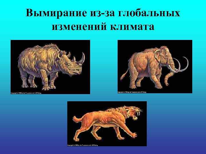 Вымирание из-за глобальных изменений климата 