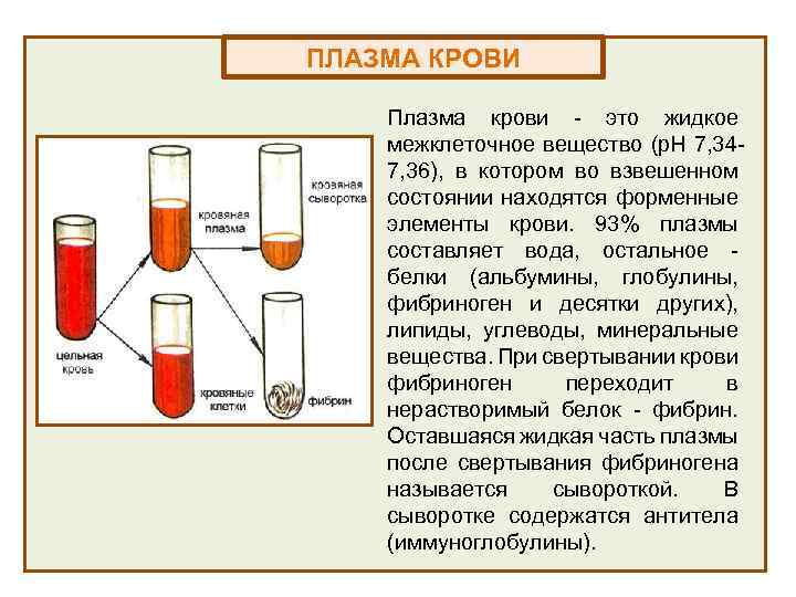 Витамины в плазме крови