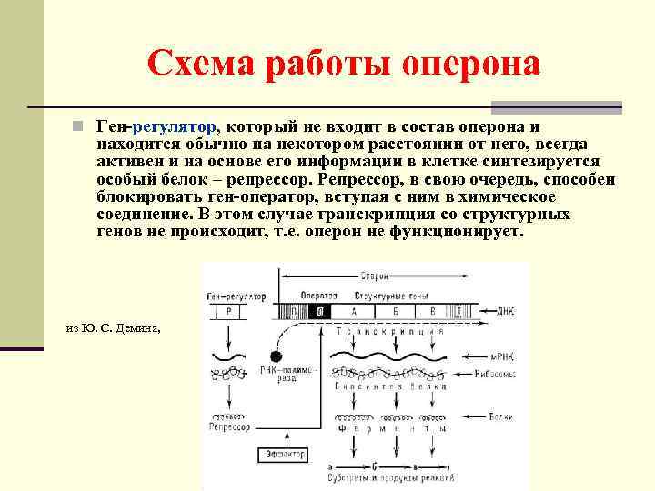 Определение гена