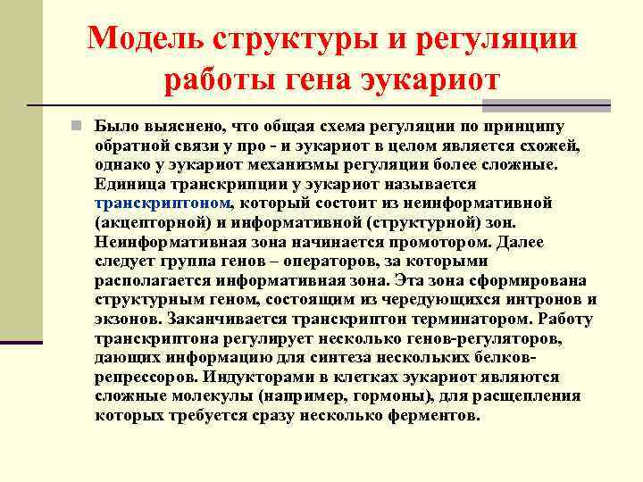 Модель структуры и регуляции работы гена эукариот n Было выяснено, что общая схема регуляции