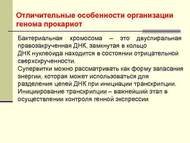 Отличительные особенности организации генома прокариот Бактериальная хромосома – это двуспиральная правозакрученная ДНК, замкнутая в