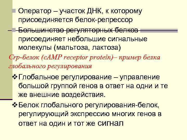 n Оператор – участок ДНК, к которому присоединяется белок-репрессор n Большинство регуляторных белков присоединяет