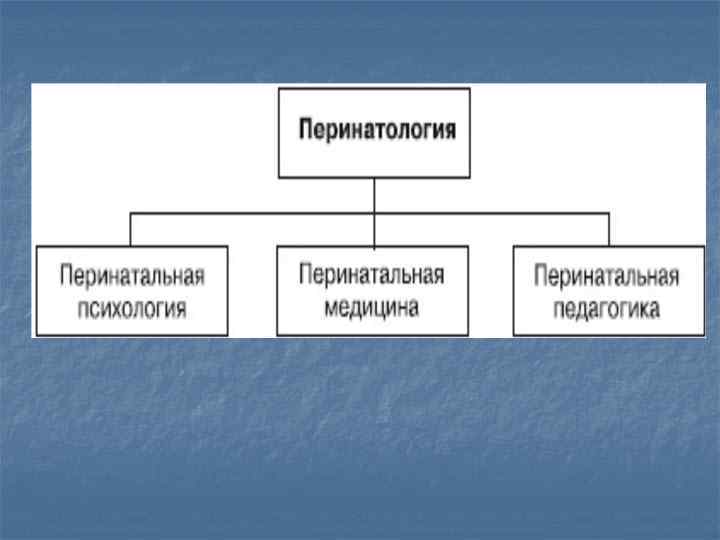 Этапы развития перинатальной психологии