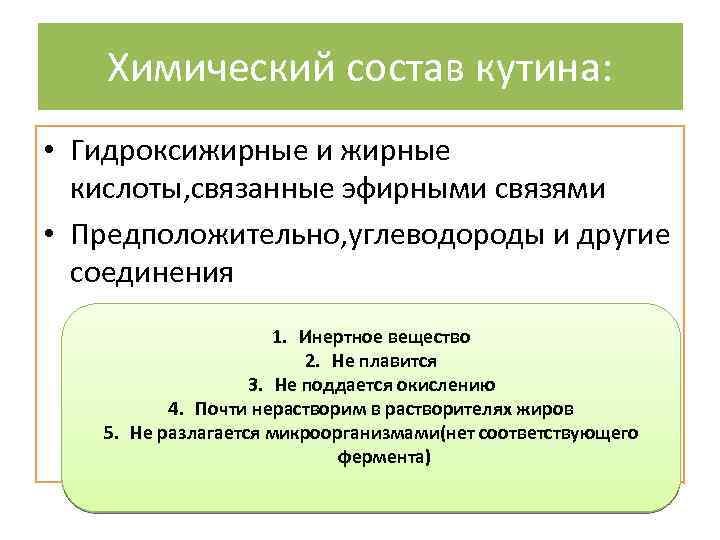 Химический состав кутина: • Гидроксижирные и жирные кислоты, связанные эфирными связями • Предположительно, углеводороды