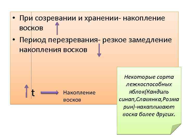  • При созревании и хранении- накопление восков • Период перезревания- резкое замедление накопления