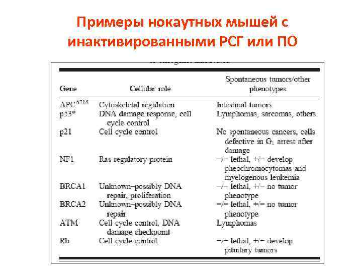 Примеры нокаутных мышей с инактивированными РСГ или ПО 