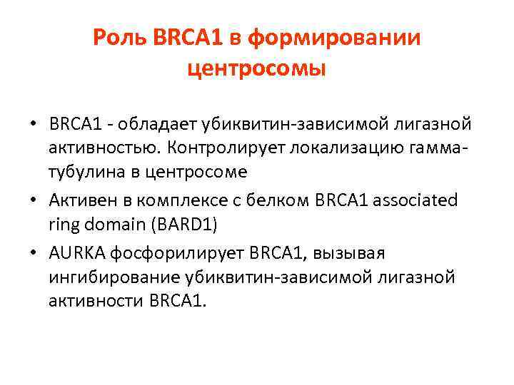 Роль BRCА 1 в формировании центросомы • BRCA 1 - обладает убиквитин-зависимой лигазной активностью.