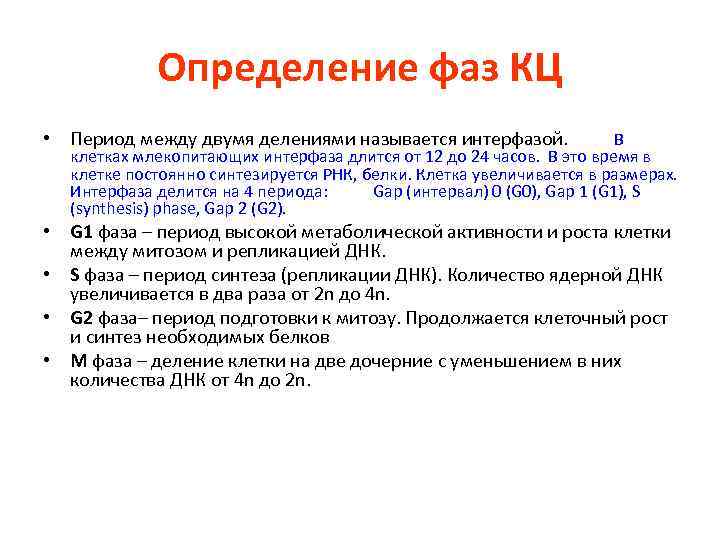 Определение фаз КЦ • Период между двумя делениями называется интерфазой. В клетках млекопитающих интерфаза