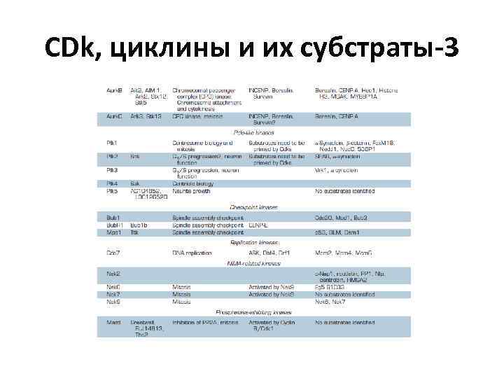 CDk, циклины и их субстраты-3 