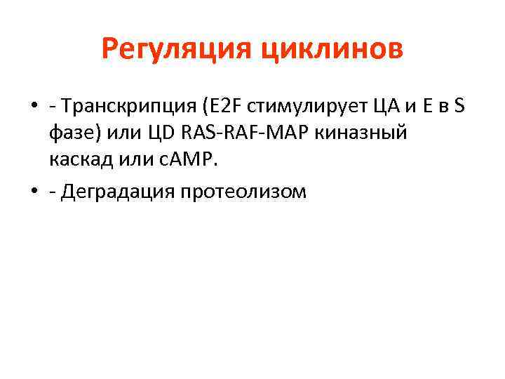 Регуляция циклинов • - Транскрипция (E 2 F стимулирует ЦА и Е в S