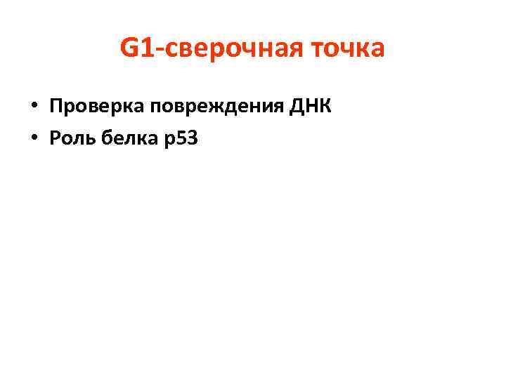 G 1 -сверочная точка • Проверка повреждения ДНК • Роль белка р53 