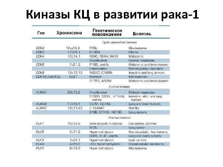Киназы КЦ в развитии рака-1 
