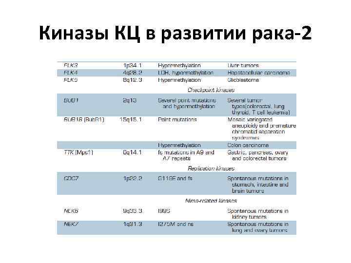 Киназы КЦ в развитии рака-2 