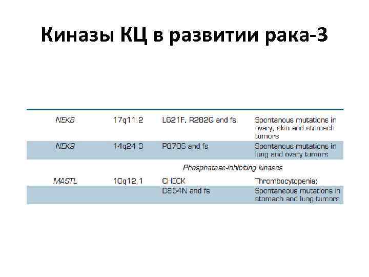 Киназы КЦ в развитии рака-3 