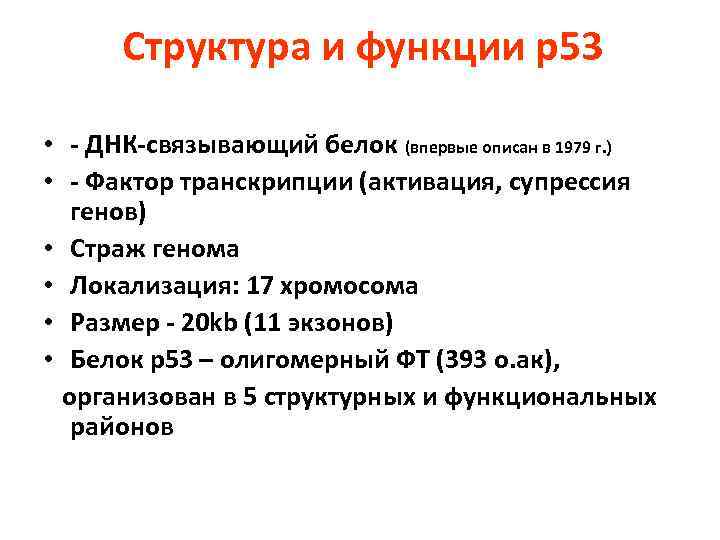 Структура и функции р53 • - ДНК-связывающий белок (впервые описан в 1979 г. )