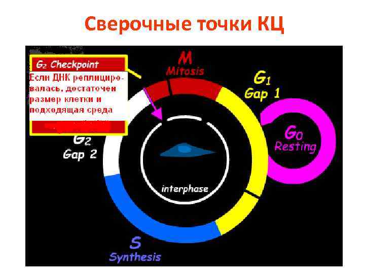 Сверочные точки КЦ 