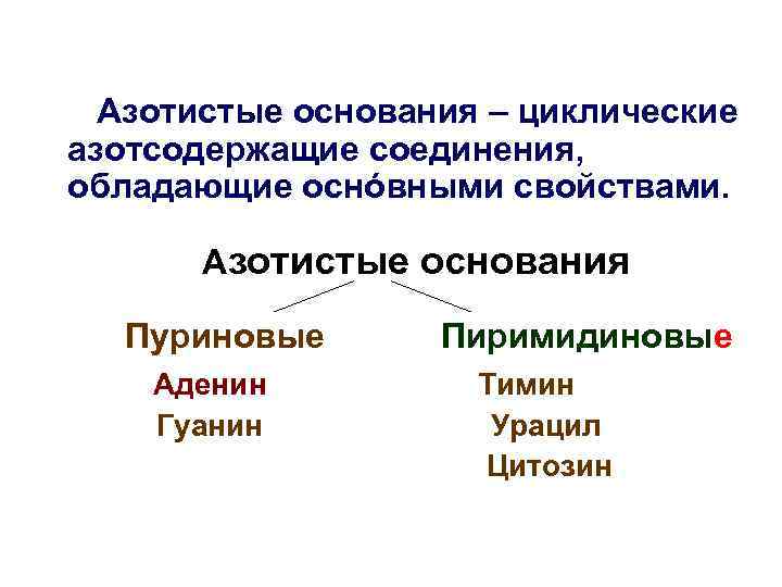 Азотистые основания – циклические азотсодержащие соединения, обладающие оснóвными свойствами. Азотистые основания Пуриновые Аденин Гуанин