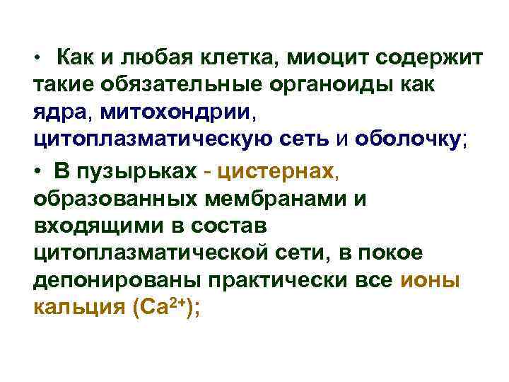  • Как и любая клетка, миоцит содержит такие обязательные органоиды как ядра, митохондрии,