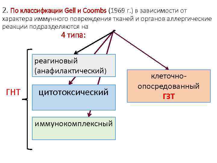 2. По классифкации Gell и Coombs (1969 г. ) в зависимости от характера иммунного